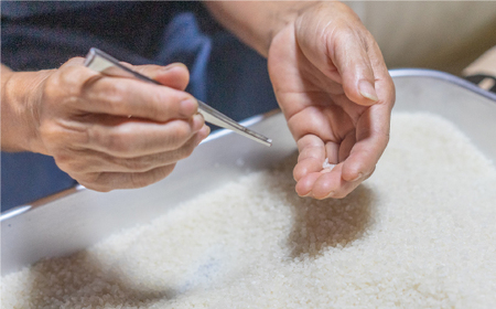 【令和2年度新米】赤土で育った小値賀町産コシヒカリ 5kg＜伊藤紀明＞  常温  [DBC001]