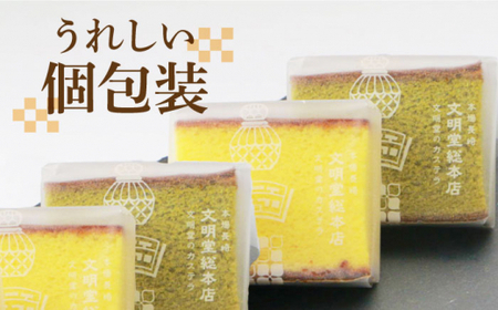 【6回定期便】カット包装カステラ　2箱入 （プレーン・抹茶）≪小値賀町≫【株式会社文明堂総本店】 カステラ かすてら 菓子 お菓子 和菓子  [DBF012]