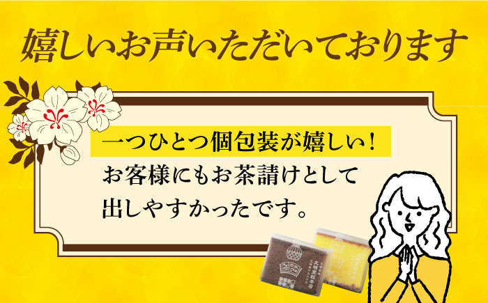 【年内配送】【小分けで食べやすい】カット包装カステラ　2箱入（プレーン・チョコレート） ≪小値賀町≫ 【株式会社文明堂総本店】 カステラ かすてら 菓子 お菓子 和菓子 常温  [DBF014]