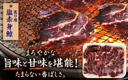 【年内配送】【旨味たっぷり】鯨2種セット 600g（塩赤身鯨 ハラミ浅漬け 300g 塩鯨炙り用脂筋肉 300g）鯨 鯨 [DBM011]