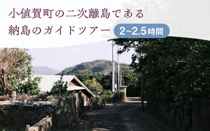 しまガイド 1名様   [DBO011]