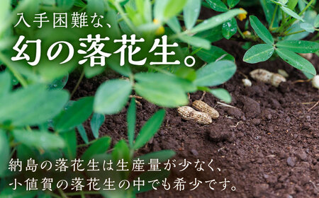 【先行予約】【数量限定】納島りんかけ 2袋 ＜小値賀町＞りんかけ 落花生 らっかせい ピーナッツ ２袋 スナック お菓子 おやつ 長崎 五島列島 小値賀町  [DBP002]