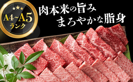 【A4～A5】長崎和牛焼肉用　1kg（500g×2p）【株式会社 MEAT PLUS】焼肉  [DBS002]