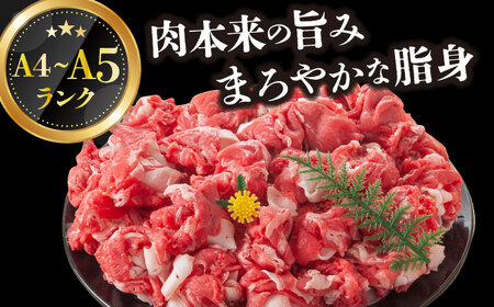 【訳あり】【A4～A5】長崎和牛焼肉切り落とし(肩ロース・バラ）　1kg（500g×2p）【株式会社 MEAT PLUS】  [DBS004]