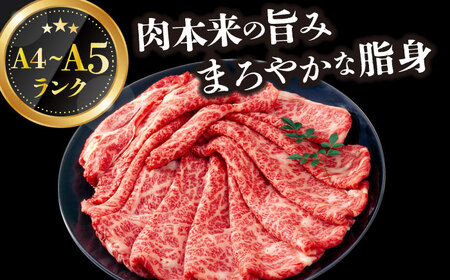 【厳選部位】【A4～A5】長崎和牛サーロインしゃぶしゃぶすき焼き用　500g【株式会社 MEAT PLUS】  [DBS017]