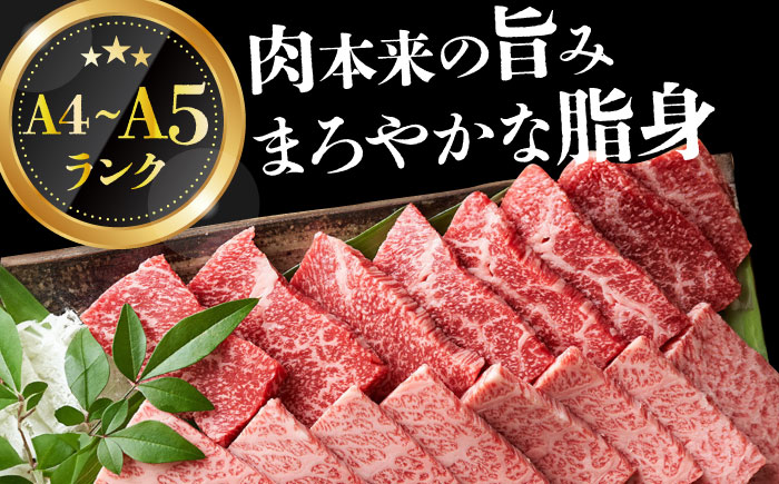 【全6回定期便】【訳あり】【A4～A5】長崎和牛焼肉切り落とし(肩ロース・バラ）　1kg（500g×2p）【株式会社 MEAT PLUS】  [DBS047]