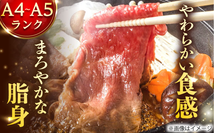 【全6回定期便】【A4～A5】長崎和牛切り落とし　1.2kg(600g×2p）【株式会社 MEAT PLUS】 切り落とし   [DBS059]