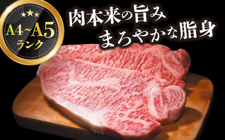 【全12回定期便】【A4～A5】長崎和牛サーロインステーキ　250g（250g×1枚）【株式会社 MEAT PLUS】  [DBS084]