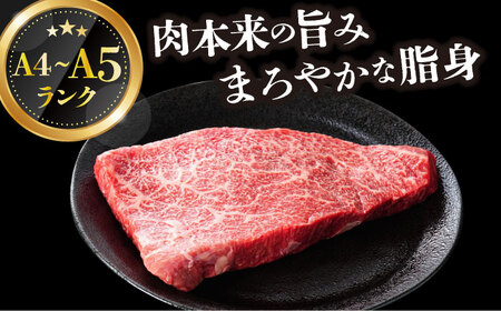 【全2回定期便】【A4～A5】長崎和牛モモステーキ　約1.5kg（100g×15p）【株式会社 MEAT PLUS】  [DBS137]