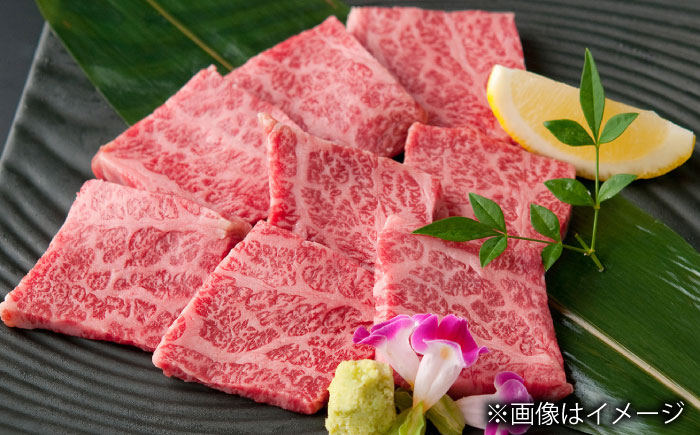 【全3回定期便】長崎和牛カルビ 総計1.5kg （約500g/回）【ながさき西海農業協同組合】 [DBV013] [DBV013]