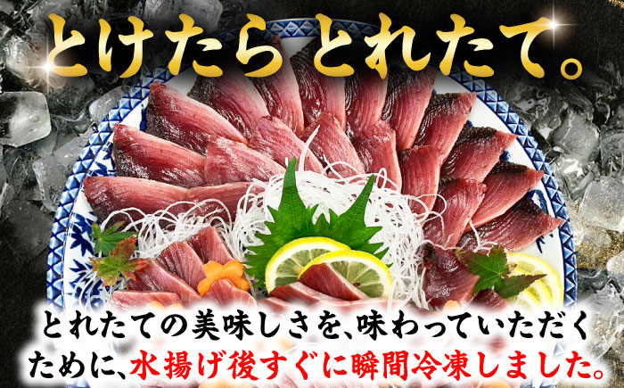 【とけたらとれたて】 スマ（ヤイトガツオ）（下処理・瞬間冷凍）計約400g以上（約200g×2パック） 長崎県 小値賀町 カツオ 鰹 かつお [DBY015]