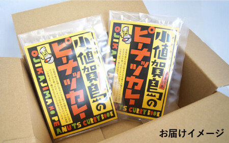【 スパイスカレー 】 小値賀島のピーナッツカレー スパイスキット 4セット  スパイス カレー 本格 簡単 ミールキット 落花生 常温  [DAA022]