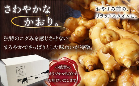 【全2回定期便】 HAO！ジンジャーシロップ 2本 （160g/本)  ジンジャー 生姜 ジンジャーエール シロップ スパイス  常温  [DAA028]