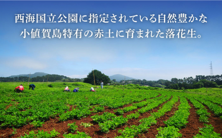 【幻の落花生】おぢか島の落花生（さや付き）100g × 20袋 《小値賀町担い手公社》  落花生 ピーナッツ おつまみ 常温  [DAA034]