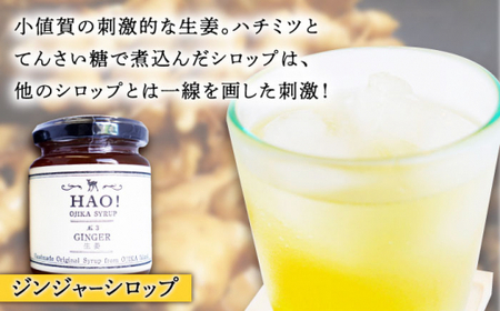 【3回定期便】HAO！赤土の恵み 定期便  ≪小値賀町≫ 【しまうま商会】 落花生 ピーナッツ 生姜 ジンジャー シロップ ピーナッツバター   [DAA045]