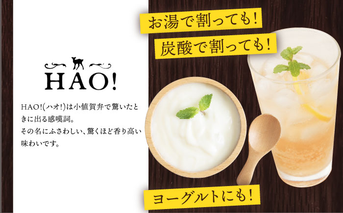 HAO！ジンジャーシロップ 5本 （160g/本) ジンジャー 生姜 ジンジャーエール シロップ スパイス 常温  [DAA048]