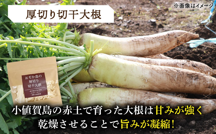 【カレー堪能セット！】小値賀島のピーナッツカレースパイスキット・切干大根30ｇ 各2セット 贈答 【小値賀町】《小値賀町担い手公社》  [DAA060]