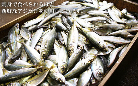 【すぼ付き・アジ100%】しいちゃんかまぼこ（10個セット）＜しまうま商会＞  20000 20000円 2万円  [DAB006]