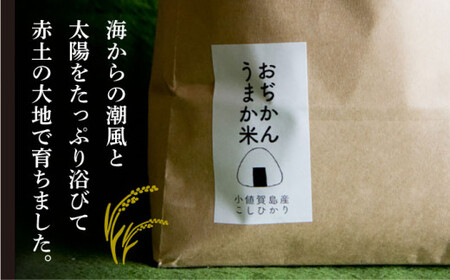 【全6回定期便】【令和6年度産】おぢかんうまか米（小値賀町産こしひかり 約3kg ・精白米）総計18kg   コシヒカリ こしひかり お米 常温  [DAB012]