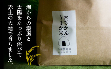 【全3回定期便】【令和6年度産】おぢかんうまか米（小値賀町産こしひかり 5kg ・精白米）総計15kg  コシヒカリ こしひかり 米 お米 白米 ご飯 精米 お弁当  常温  [DAB015]