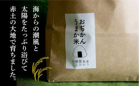 【全6回定期便】【令和6年度産】おぢかんうまか米（小値賀町産こしひかり 約5kg ・精白米）総計30kg   コシヒカリ こしひかり 米 お米 白米 ご飯 精米 お弁当  常温  [DAB016]
