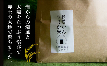 【全2回定期便】【令和6年度産】おぢかんうまか米（小値賀町産こしひかり 5kg ・精白米）  コシヒカリ こしひかり 米 お米 白米 ご飯 精米 お弁当  常温  [DAB038]