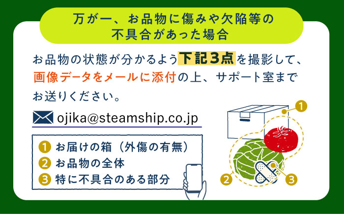 【先行受付】【夏季初回発送】小値賀島で育った新鮮野菜おまかせセット　夏季1回・冬季1回お届け  [DAB080]