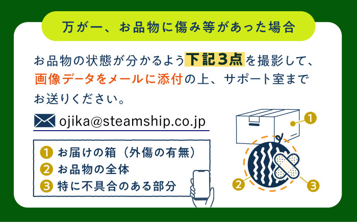【先行予約】【小値賀町産】 大玉スイカ 2玉（約6～8kg）スイカ 長崎県産 フルーツ 果物  [DAB082]