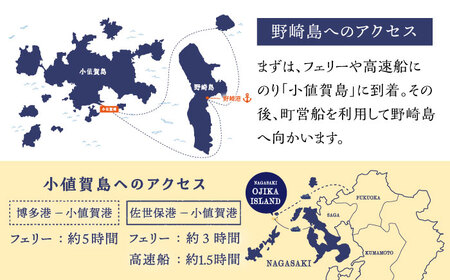 野崎島ガイドツアー 1名様 ＜小値賀町＞長崎県 五島列島 小値賀 ガイドツアー 島旅 旅 世界遺産   [DAJ011]
