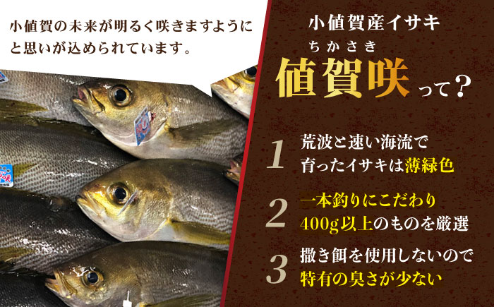 【全2回定期便】【高級魚】ブランド魚 値賀咲 （ちかさき） うまかドン5パック イサキ漬け丼  《古民家レストラン 敬承 藤松》  イサキ いさき 海鮮 鮮魚 無添加 贅沢 冷凍 簡単調理 時短 丼  [DAK013]