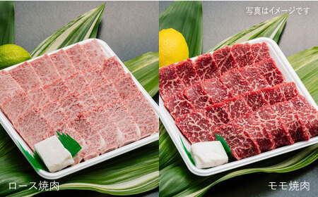 【数量限定！月1回全6回 約9.6kg】A4,A5等級 長崎和牛プレミアム6回定期便  《小値賀町》 【有限会社肉の相川】 690000 690000円 69万円  [DAR011]