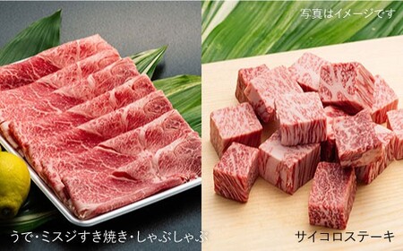 【全12回 約22kg】A4,A5等級 長崎和牛プレミアム月1回計12回定期便 《小値賀町》 【有限会社肉の相川】 1200000 1200000円 120万円  [DAR012]