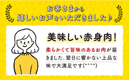 【全3回定期便】【 A5ランク 】 長崎和牛 赤身定期便 小値賀【有限会社肉の相川】 [DAR033] 肉定期便