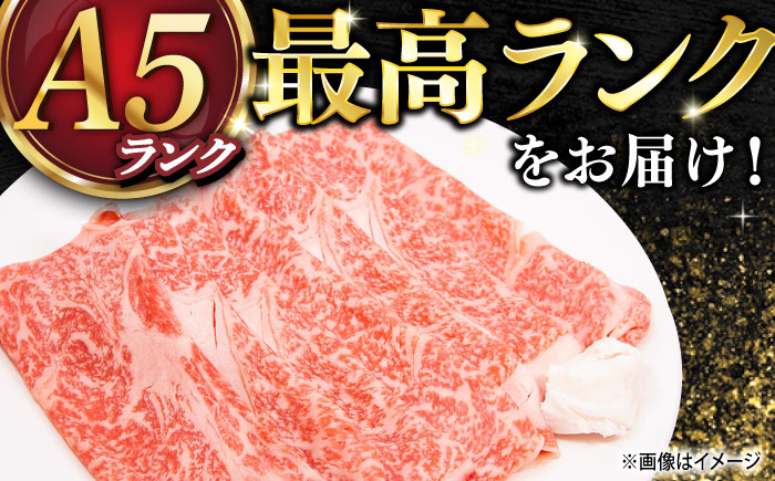 【年内配送】長崎和牛 A5ランク レモンステーキ（ウデ･みすじ）400ｇ 《小値賀町》【有限会社肉の相川】   [DAR046]