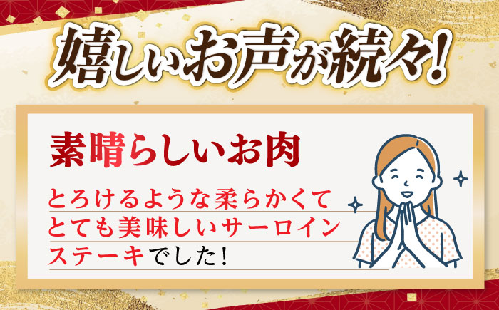 【2種食べ比べ】 長崎和牛 A5ランク ミニステーキセット（サーロイン･モモ）約400ｇ 《小値賀町》【有限会社肉の相川】  [DAR047]