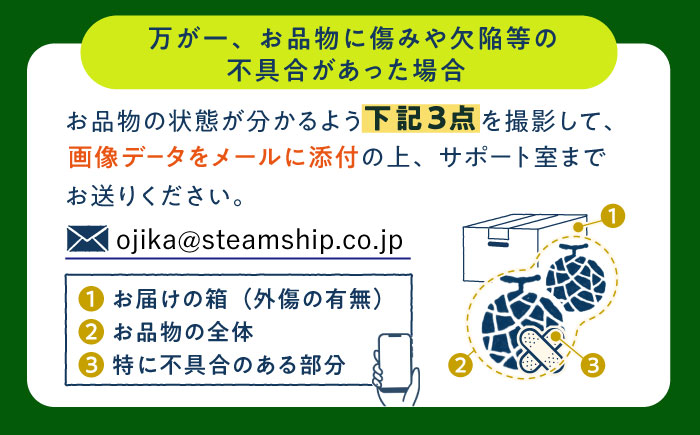 【訳あり】【2026年6月中旬-7月初旬順次発送】【先行予約】タカミメロン 約5kg（3～5玉） メロン 人気 メロン 訳あり [DAT003]