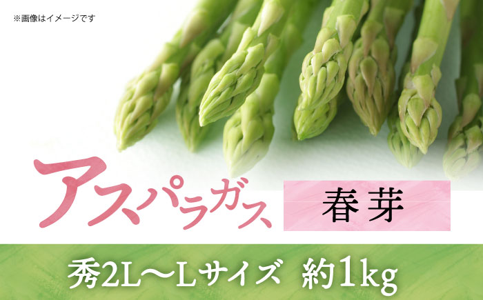 【先行予約】【2025年3月中旬～4月中旬発送分】アスパラガス（ 春芽 ）約1kg 《小値賀町》【ながさき西海農協小値賀地区園芸部会】  アスパラガス [DAT004]