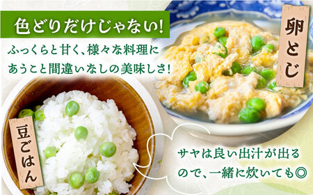 【先行予約】【2025年3月下旬～4月中旬発送分】うすいえんどう 約2kg ≪小値賀町≫【ながさき西海農協小値賀地区園芸部会】 ? えんどう エンドウ 実えんどう 野菜 常温 [DAT006]