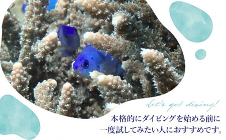 【体験ダイビング】Discover Scuba Diving コース 1名様   [DBB001]