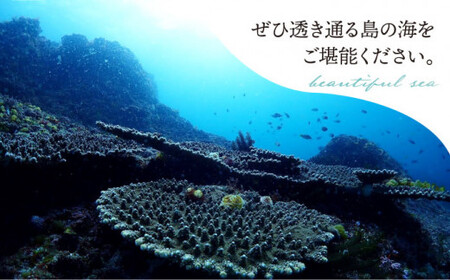 【3~5名様 1日貸し切り】スキューバダイビング 3~5名様 1日貸し切り券（2ボート）   [DBB004]