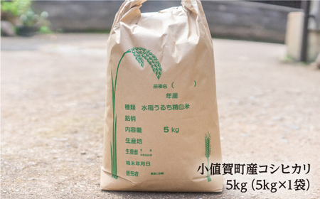 【令和2年度新米】赤土で育った小値賀町産コシヒカリ 10kg＜伊藤紀明＞  常温  [DBC002]