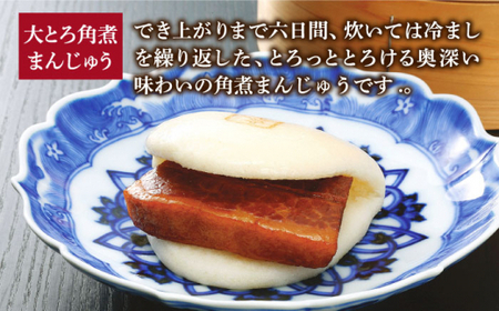 【2回定期便】長崎角煮まんじゅう 8個入（箱）・大とろ角煮まんじゅう 8個入（箱） 【岩崎本舗】 角煮まんじゅう 角煮まんじゅう  [DBG051]