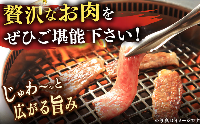 【年内配送】長崎和牛 焼肉セット 4種 （ 上バラ / 上モモ / 上ロース / 上カルビ )  計920g 小値賀町【株式会社 OGAWA】 焼肉 焼肉 焼肉 食べ比べ  [DBJ005]