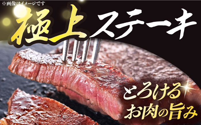 【2回定期便】 長崎和牛 極厚 プレミア ステーキ 食べ比べ セット（ ヒレ ステーキ 約240g×2枚 / ロース芯 ステーキ 約260g×2枚）《小値賀町》【深佐屋】  肉 和牛 黒毛和牛 ヒレステーキ ロースステーキ 贅沢 大容量  [DBK007]