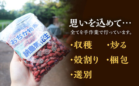 【先行予約】【数量限定】納島落花生 2袋 ＜小値賀町＞ 落花生 らっかせい ピーナッツ 2袋 長崎 五島列島 小値賀  [DBP001]
