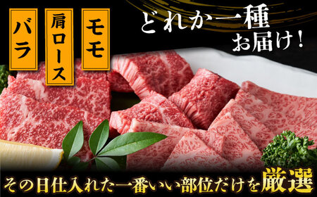 【全2回定期便】【A4～A5】長崎和牛焼肉用　500g【株式会社 MEAT PLUS】焼肉  [DBS033]