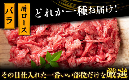 【全3回定期便】【訳あり】【A4～A5】長崎和牛焼肉切り落とし(肩ロース・バラ）　1kg（500g×2p）【株式会社 MEAT PLUS】  [DBS046]