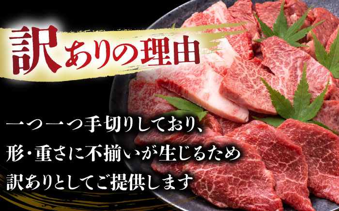 【全6回定期便】【訳あり】【A4～A5】長崎和牛焼肉切り落とし(肩ロース・バラ）　1kg（500g×2p）【株式会社 MEAT PLUS】  [DBS047]