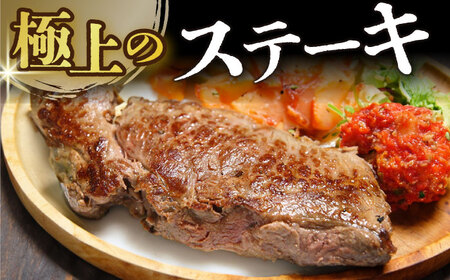 【全6回定期便】【A4～A5】長崎和牛ヒレステーキ　450g（150g×3枚）【株式会社 MEAT PLUS】ヒレ ヒレ ヒレステーキ  [DBS159]