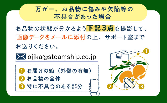 【先行予約】【化粧箱入り】 びわ Lサイズ ビワ 長崎県 小値賀町 大島 【2026年6月発送】【神川農園】  [DBT004]